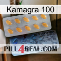 Kamagra 100 44